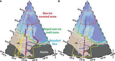 The impact of sea ice melt on the evolution of surface pCO2 in a polar ocean basin